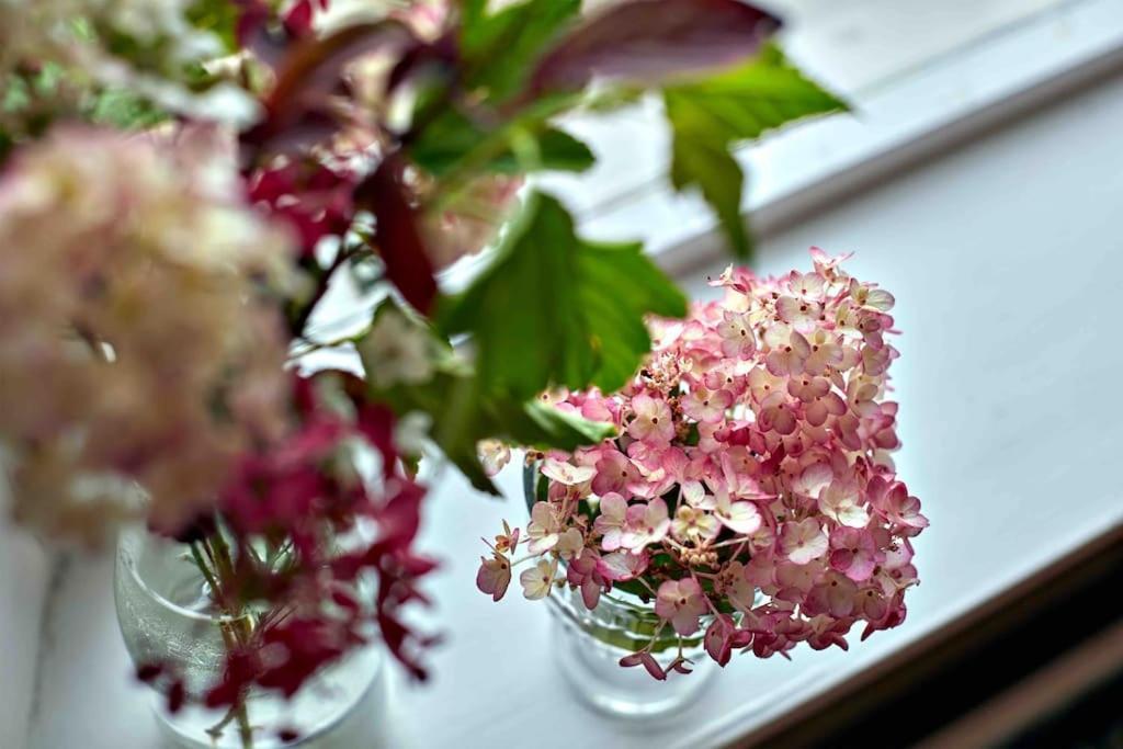 Sleeps 10. The Old Pink Library By Loch And River Villa Lochearnhead Eksteriør billede